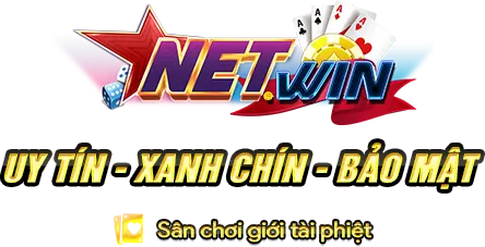 NetWin Logo