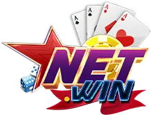 NetWin Logo